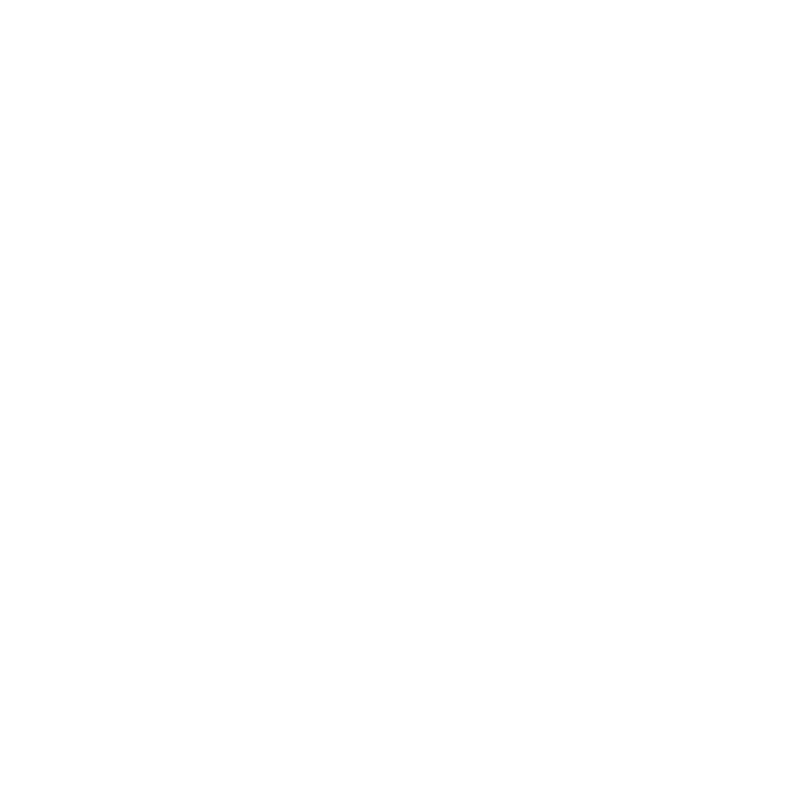 AISUN